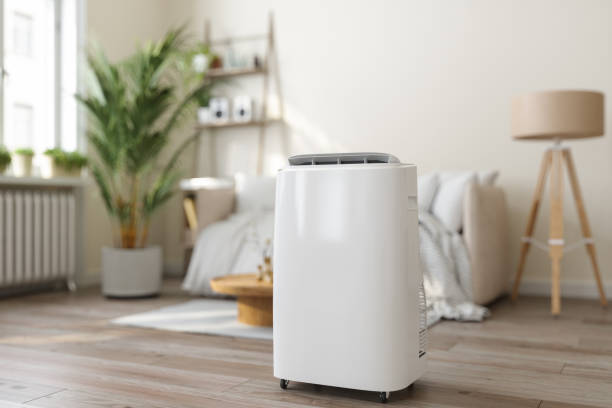 Best Air Filters and Purifiers in New Port Richey East, FL
